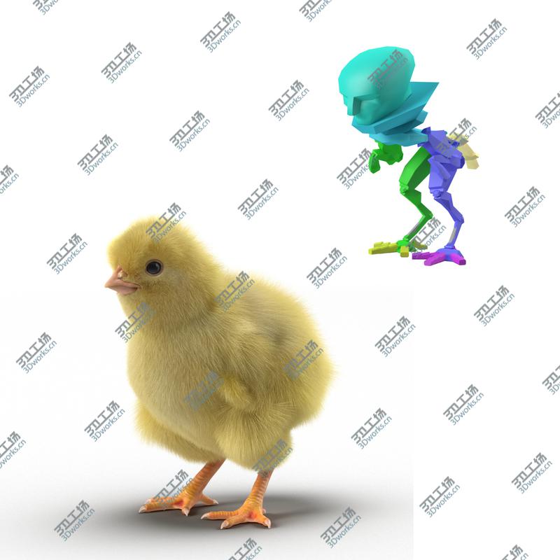 images/goods_img/2021040232/Chick Rigged/5.jpg